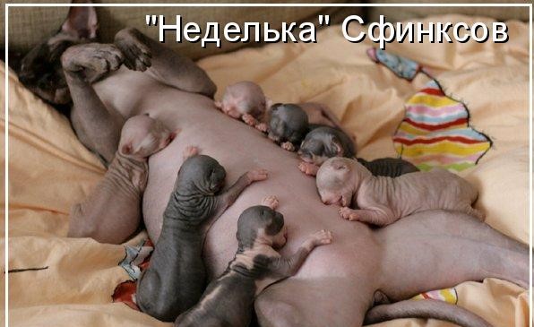 Бредзона 06.02.21
