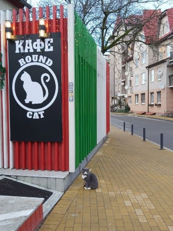 Добрые картинки 28.11.20
