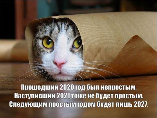 Картинки и мемы для настроения 019