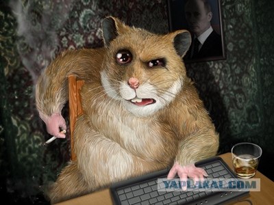 ШОК! Все планы сбылись!