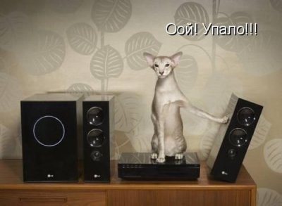 Вот ведь падла!