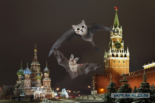 Давайте разберёмся