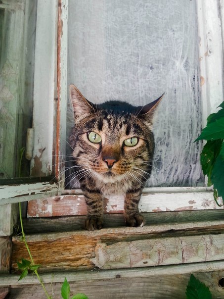 Подборка душевных фотографий, которые восполнят нехватку добра
