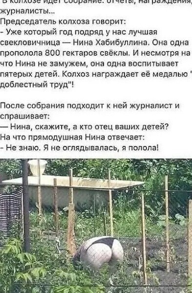 Молодая, красивая и в огороде: биробиджанская Деметра рассказала о своем хобби - дачапокарману-казань.рф