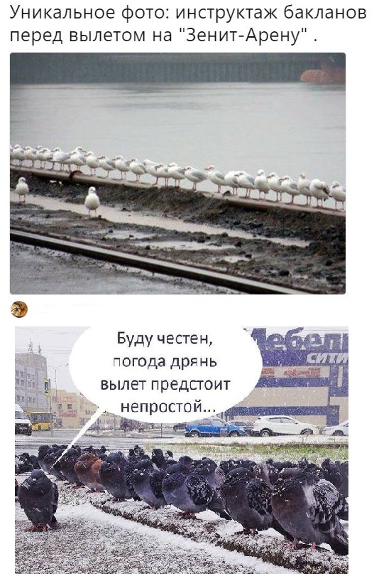 Картинки и мемы для настроения 05.08.2021