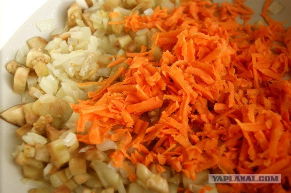 Макаронные ракушки