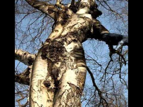 Картинка одна. Зато какая