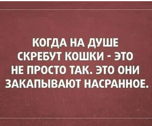 Картинки - не картинки. Смешные - не смешные 2