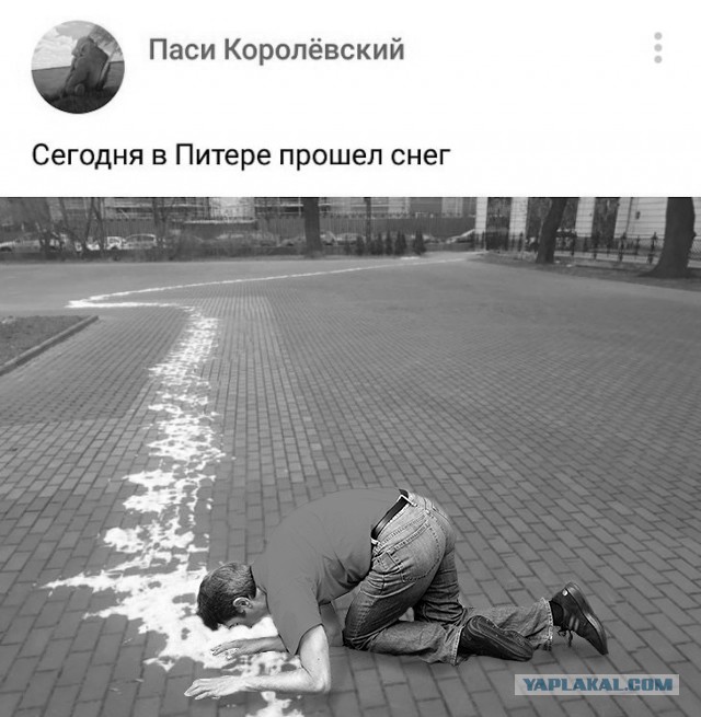 Картинки и мемы для настроения 11.11.2021