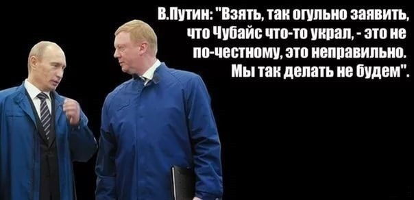 Чубайс попросил у властей льгот для своего проекта