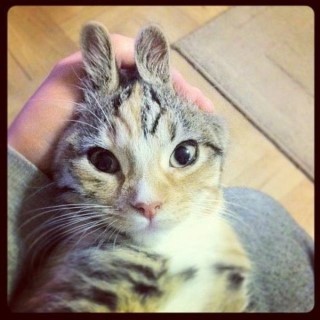 Всего лишь один кусь