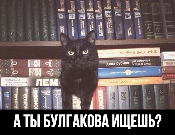 40 картинок разных 04.04.2022
