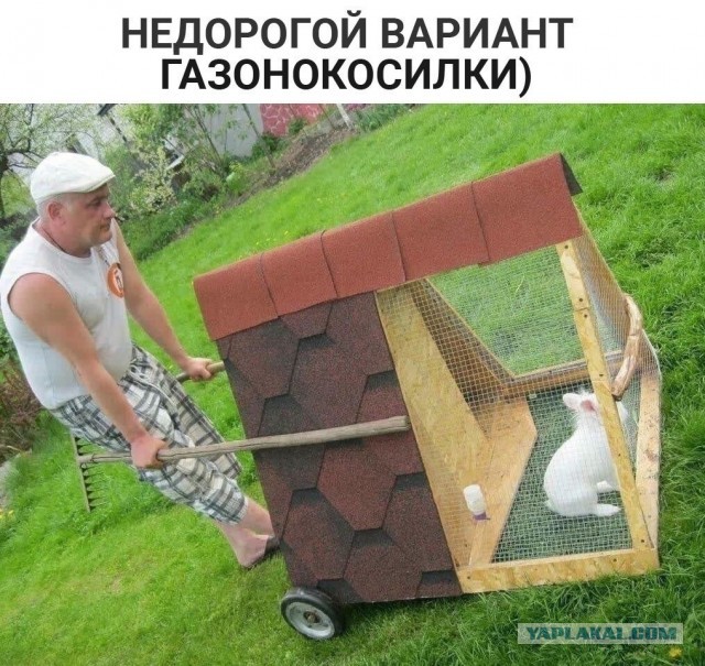 Так себе картинки 21.04.22