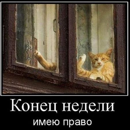 Немного пятничных и где то смешных картинок