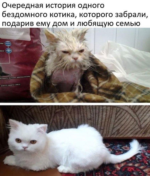 Картинки и мемы для настроения - 14