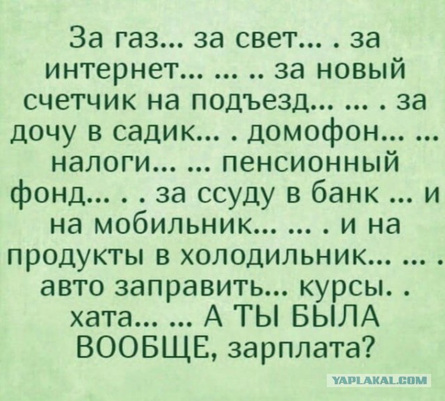 Забавные комментарии из социальных сетей (25.10.22)