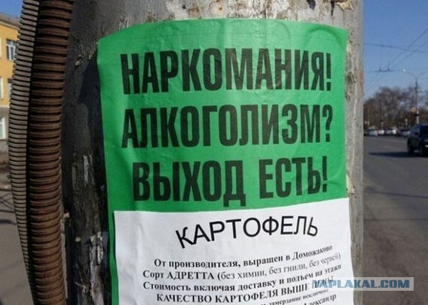 Весёлый полтишок 03.04.23