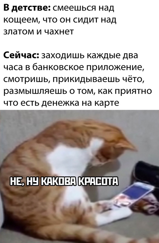 Весёлый полтишок 18.04.23