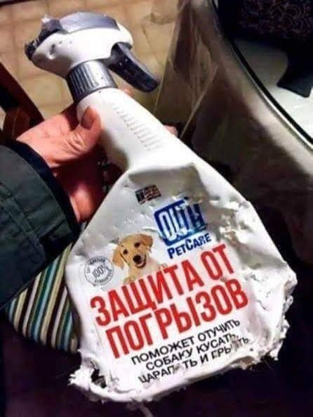 Всего понемногу. От 03.08.23