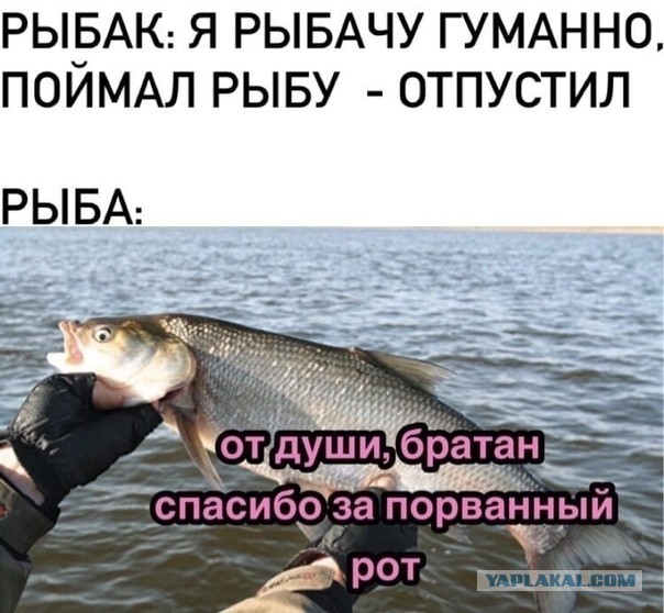 Хороший день на рыбалке