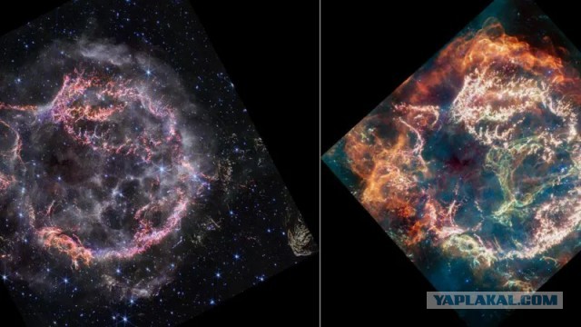 Звездный призрак. «Джеймс Уэбб» увидел, во что превращаются сверхновые звезды