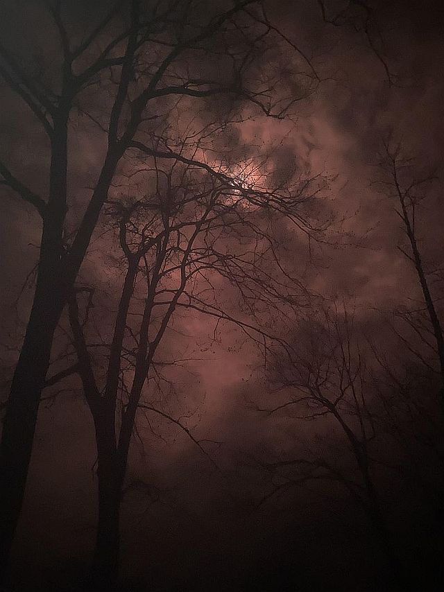 ФотоВинегрет