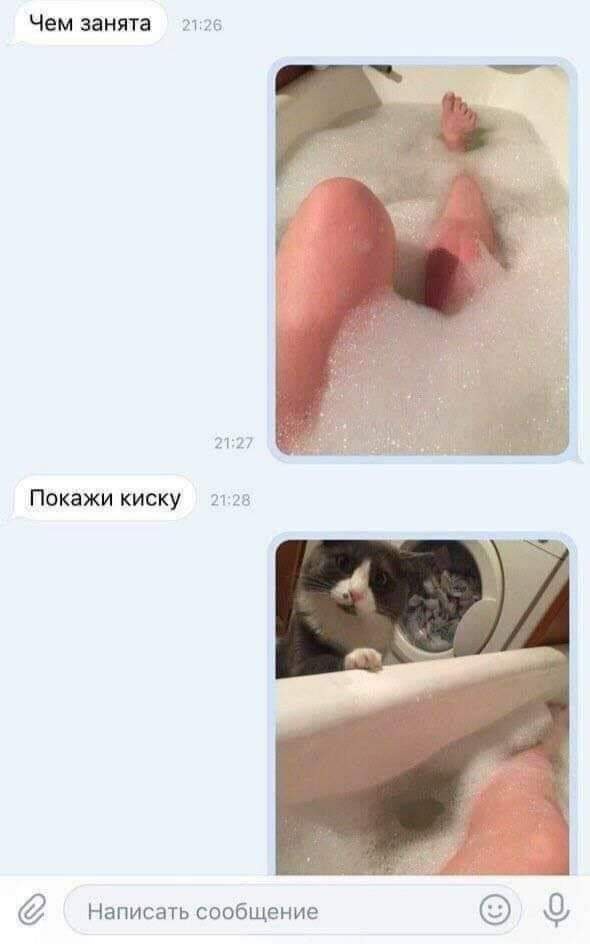 20 забавных  картинок