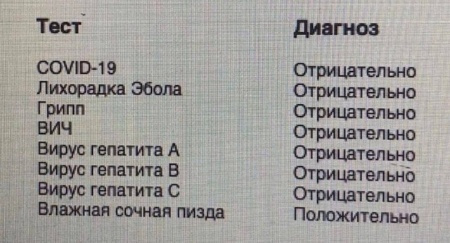 Немного забавных картинок от 23.10.2024