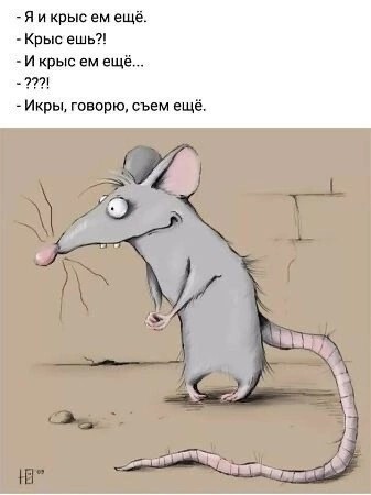 Так себе картинки 21.12.24