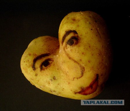Картофель с человеческим лицом