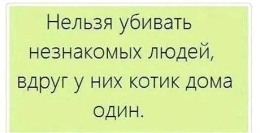 Чем отличаются люди, у которых есть кошки, от людей, у которых их нет? Тест и его результаты