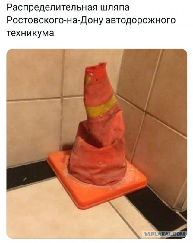 Картинки 23.04.25