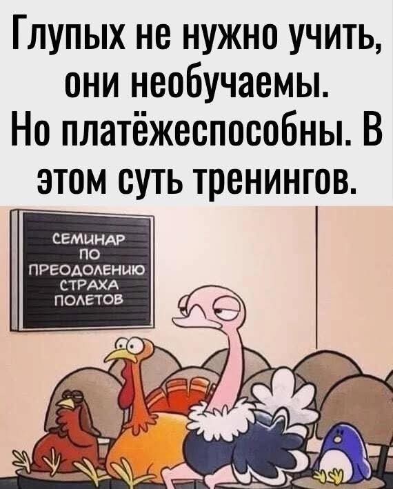 Так себе картинки 29.04.25