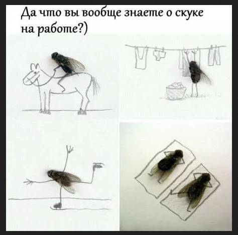 Завалялось тут случайно немного забавных картинок