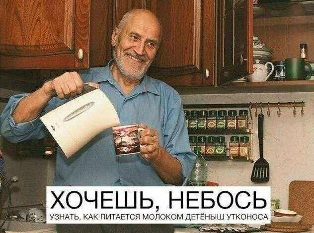 Так себе картинки 18.11.25