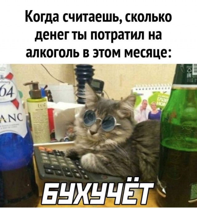 Картинки для деградации 134 (разной степени свежести)