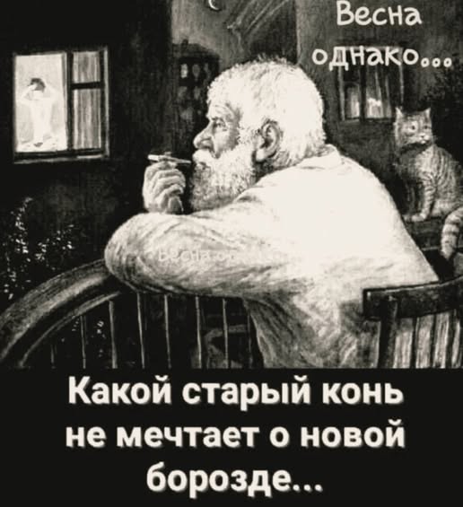 Картиночки, баянчики 13 марта