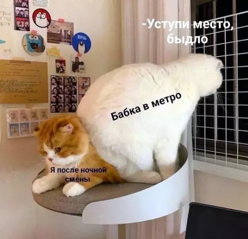 Картиночки, баянчики 16 марта