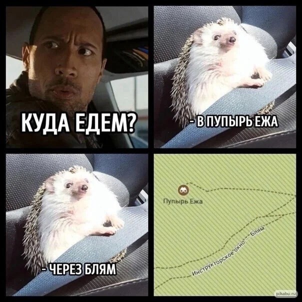 Среды картинки