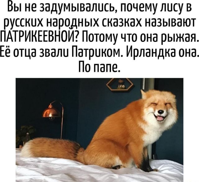 Это и есть самое хитрое животное?