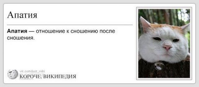 Случайный секс с коллегой может привести к депрессии