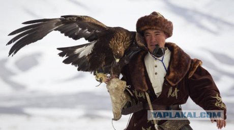Люди холода