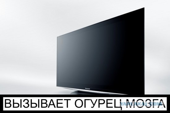 Полуголые студентки в секс-календаре для Путина