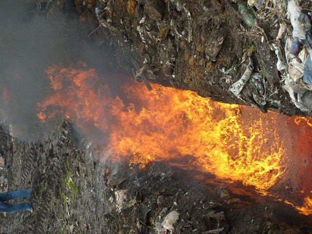 Как сгорает тонна красной икры