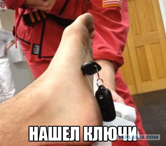 Свежие картинки из сети