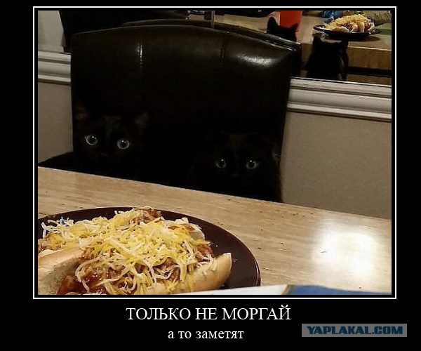 Смешные картинки