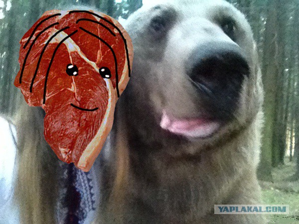 Я и мой друг Степан