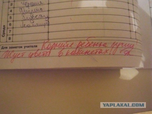 Записи в Дневниках