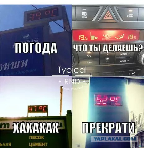 Забавные картинки из интернетов