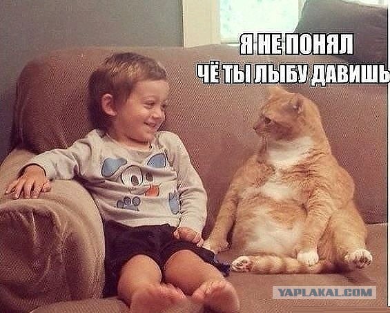 Веселые картинки на пятницу
